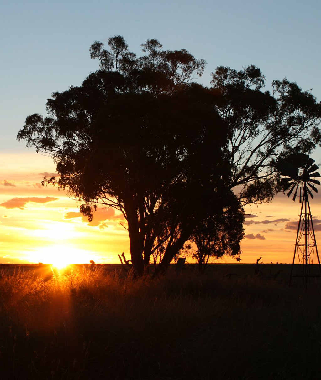 STUNNING: This fantastic shot was taken by Joe Newman during a two-day photography workshop.
